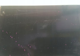 733a40a7832728e2e1251e7b749b11de