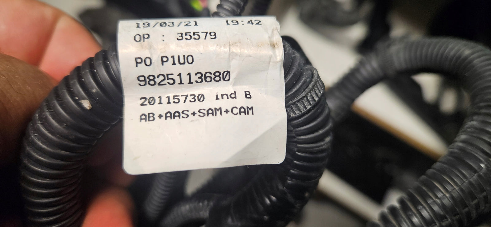 0831c4b1060ace4d8d58c9b8d40e8578