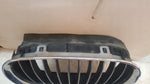 BMW E39 NERKA GRILL ATRAPA PRAWA 8159312