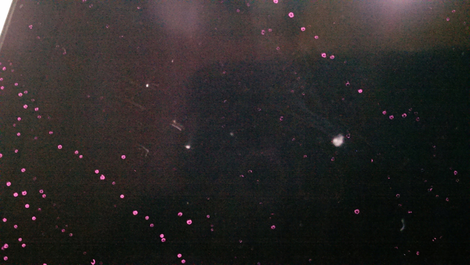 cb7e1339cfa5355e0653f38d253f93bb