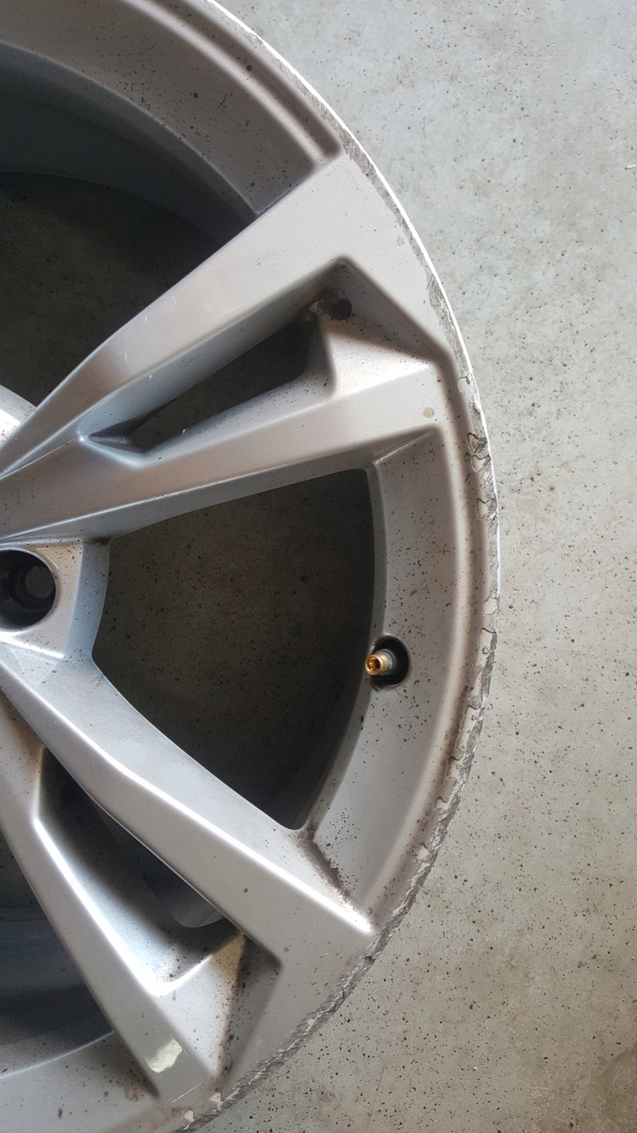 d4c8542344487f14d38b8c8a5c8d1c36